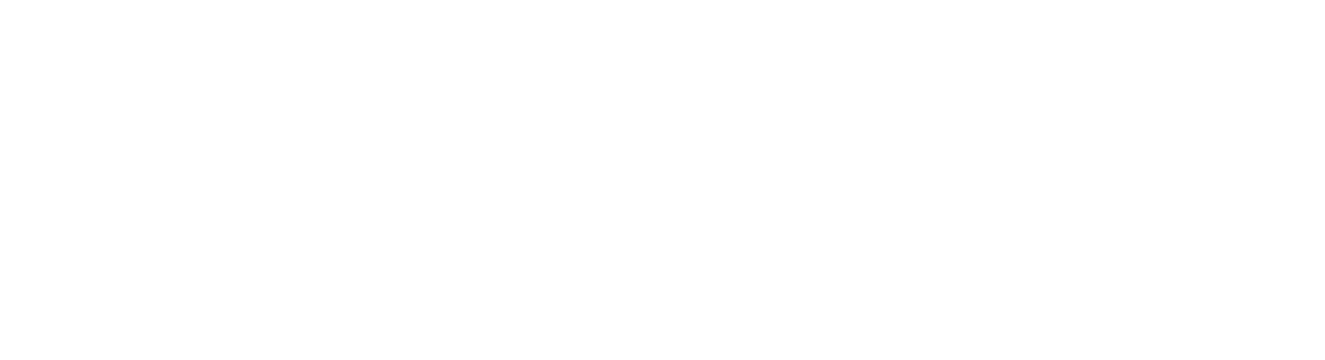 tdt-logo